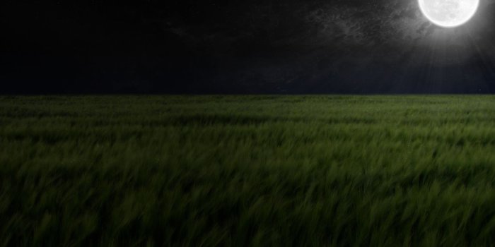 1650x1050 Full Moon Beautiful HD Desktop Wallpapers - All HD Wallpapers