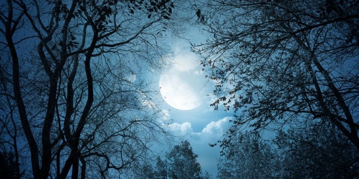 2560x1440 10 Best Moon At Night Wallpaper FULL HD 1920×1080 For PC Background