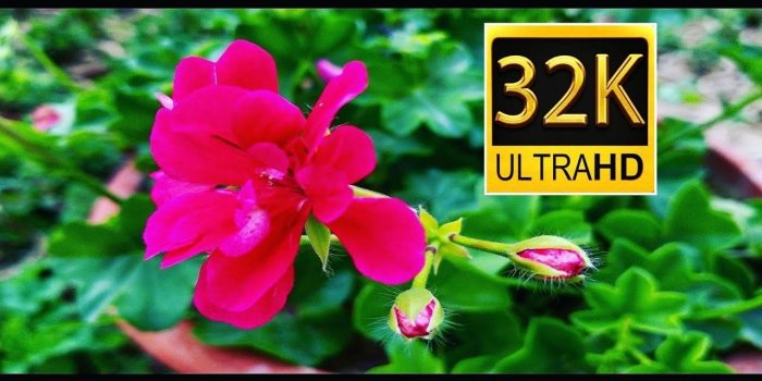 1280x720 8k ultra hd 80 fps and high resolution HDR