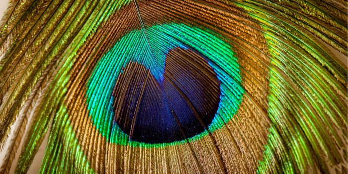 7680x4320 Ultra Hd Wallpapers 8k Download Group (48+)