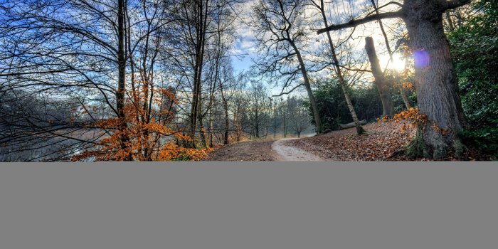 7680x4320 8k Ultra Hd Resolution Desktop Wallpapers Hd Car Wallpapers - Autumn