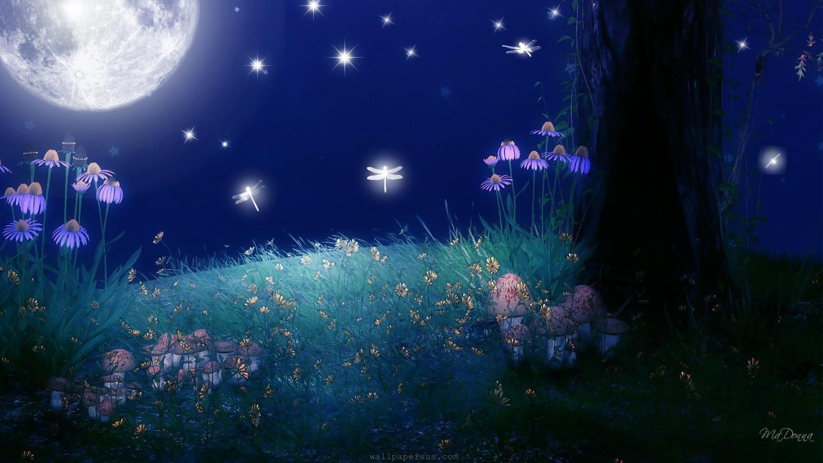 1920x1080 Reina Star on moon and flowers in 2019 | Moon, stars