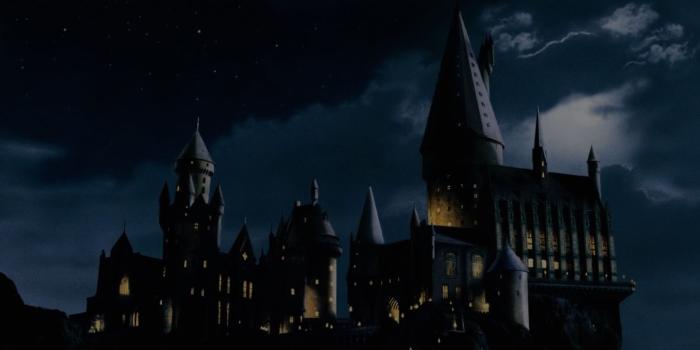 1919x793 DUMBLEDORE'S ANTEATERS – UCI's Harry Potter Club