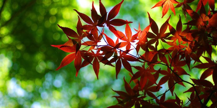 1920x1080 UltraHD 8K Wallpapers - HD WAR WALLPAPERS