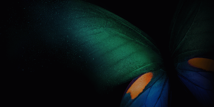 1280x720 Wallpaper Samsung Galaxy Fold, Butterfly, Green, Blue, Black