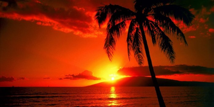 1680x1050 60+ By the Beach in Hawaii Sunset Wallpapers - Download at WallpaperBro