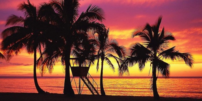 1600x1200 Wallpapers Tropics, Beach, Sunset, Oahu, Evening, Palm, Hawaii