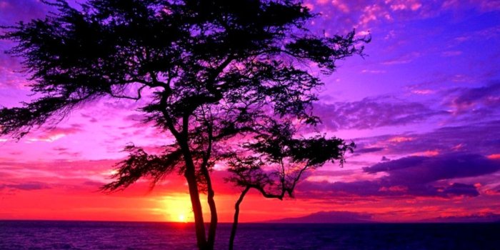 1152x931 Hawaii Sunset Wallpaper | Wallpapers Glitter