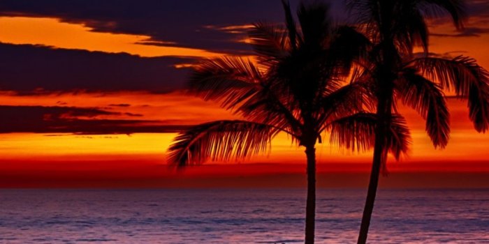 1024x1024 Free download Hawaii Beach Sunset wallpaper [1024x1024] for your