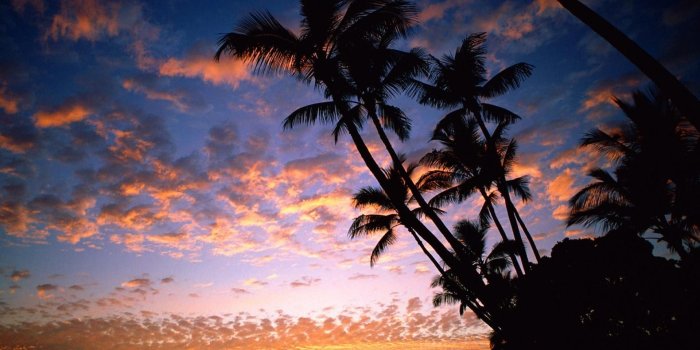 1920x1200 Hawaii Sunset Desktop Wallpapers - Desktop Wallpaper