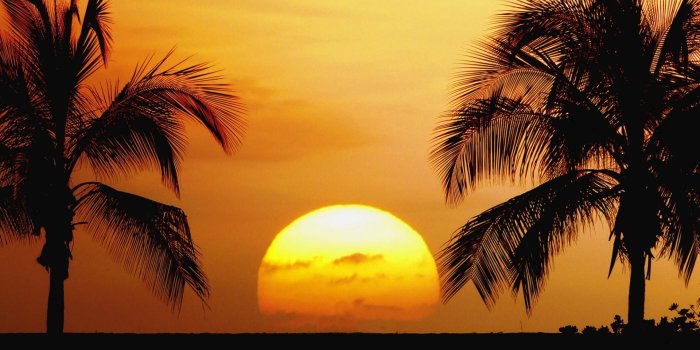 1920x1080 Palm Tree Beach Sunset | Browse Wallpapers Tropical Beaches