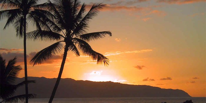 1024x768 Hawaii Beach Sunset Wallpaper | HD Wallpapers Pulse