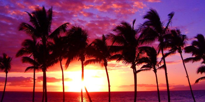 1600x1200 Hawaii sunset wallpaper Gallery