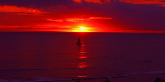 1024x768 Wallpapers Tagged With Waikiki: Palms Waves Beach Orange Water Red