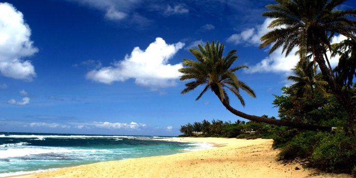 2200x1473 Hawaii Beach Wallpaper (30+ images) on Genchi.info