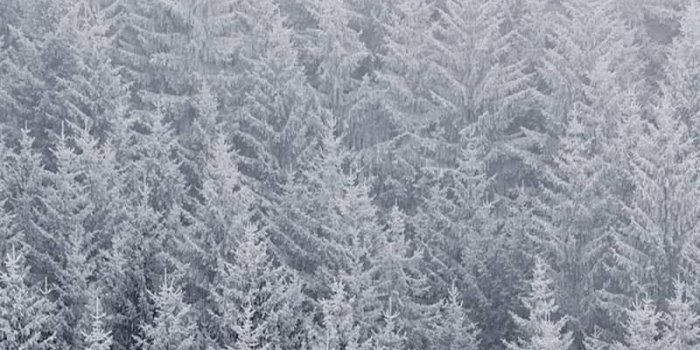 800x1732 Download Original iPhone Wallpapers HD