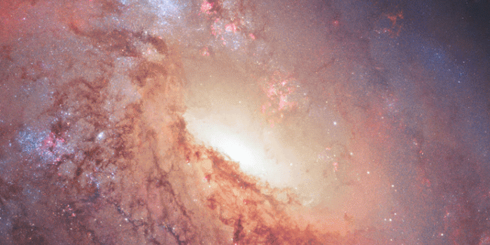 744x1392 40+ Original iPhone 5S Wallpapers - Download at WallpaperBro