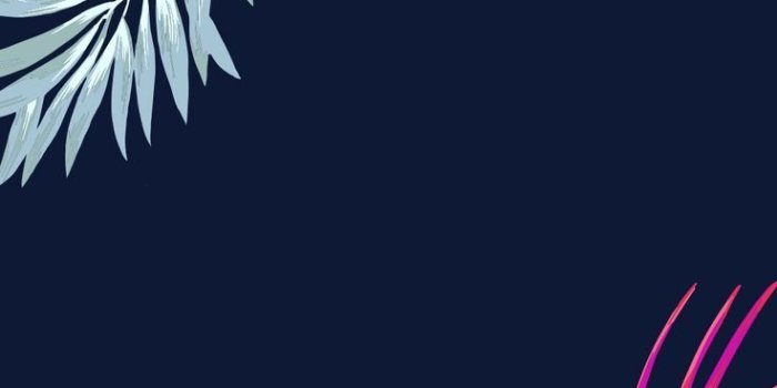 736x1308 Victoria's Secret Wallpapers