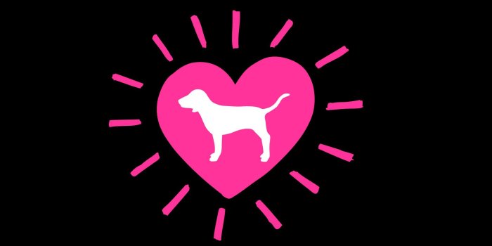 1600x1200 48+] Love Pink Wallpaper Victoria Secret on WallpaperSafari