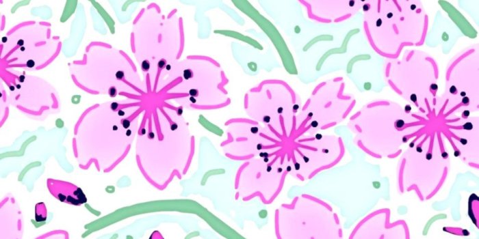 954x1314 Victoria Secret Pink Wallpaper | Elegant Wallpapers