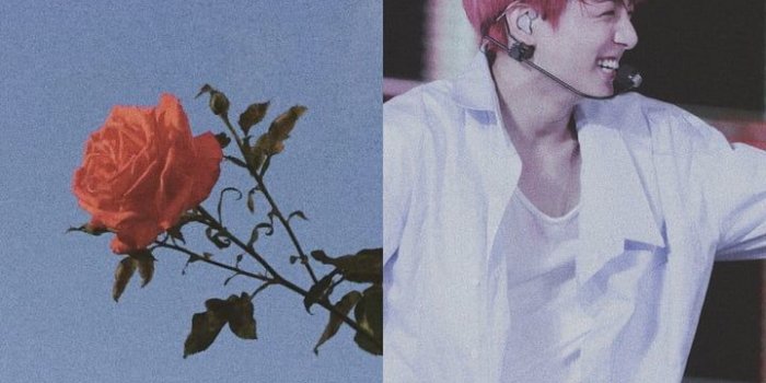 720x1280 Jeon Jungkook Aesthetic Wallpaper uploaded by @tadeojazzmine_31