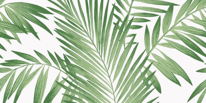 1000x1000 Tropical Palm Green Wallpaper - Palm Leaves Aesthetic Background