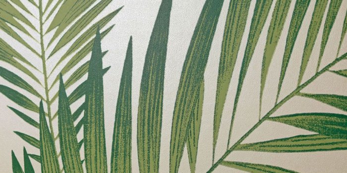 1280x1280 Details about Tropical Palm Tree White Green Wallpaper Leaves Leaf Luxury  Weight Arthouse