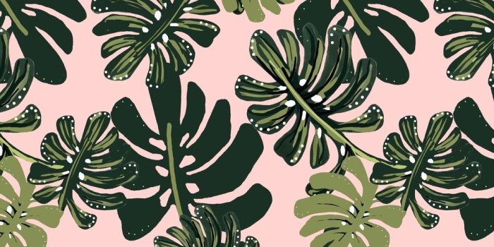 1000x1294 45+ Pink Palm Tree Wallpapers - Download at WallpaperBro