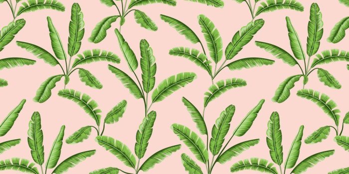 1000x1331 Palm Tree Leaves