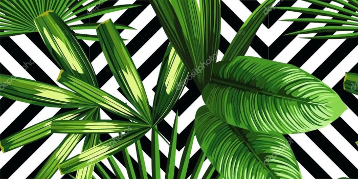 1023x1023 Palm Leaves Wallpapers
