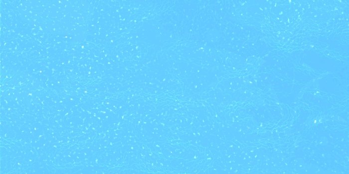 2560x1440 Baby Blue Wallpapers (30+ images) on Genchi.info