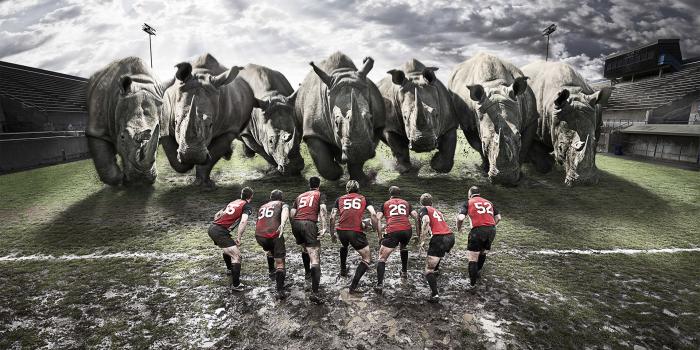 1920x1080 New Zealand All Blacks Wallpaper (70+ pictures)