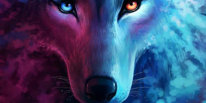 720x1280 Wolf wallpapers - Album on Imgur