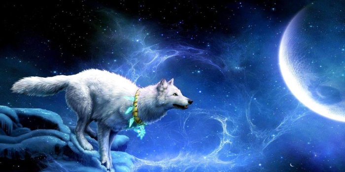 1200x750 Wallpapers For > Cool Animal Wallpaper Light Wolf