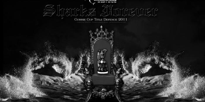 1920x1080 Rugby Wallpapers For Android ✓ The Galleries of HD Wallpaper