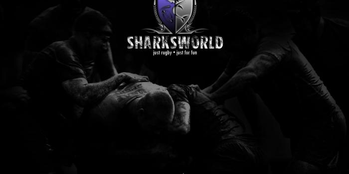 1600x1200 Sharksworld » Blog Archive » New Sharksworld wallpapers