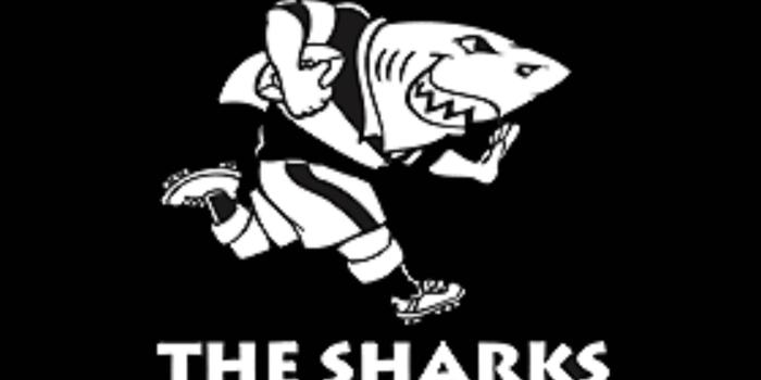 1920x1080 6563 super rugby sharks wallpapers | 1920 x 1080