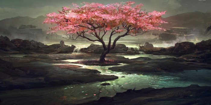 1920x1080 Cherry Blossom Tree Wallpaper (60+ images)