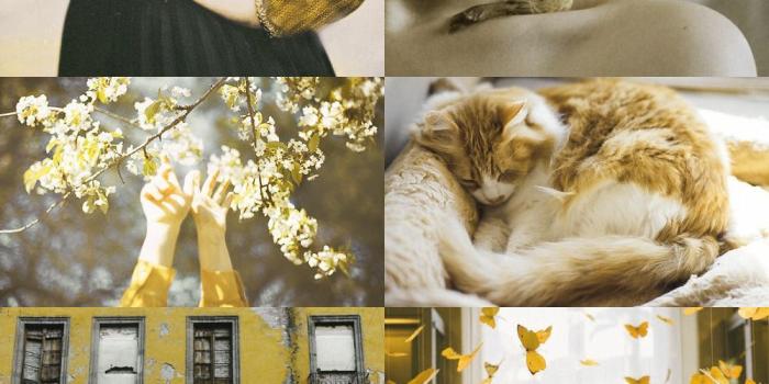 1000x1500 skcgsra: “ hufflepuff aesthetic (more here) ” | Aesthetics | Harry