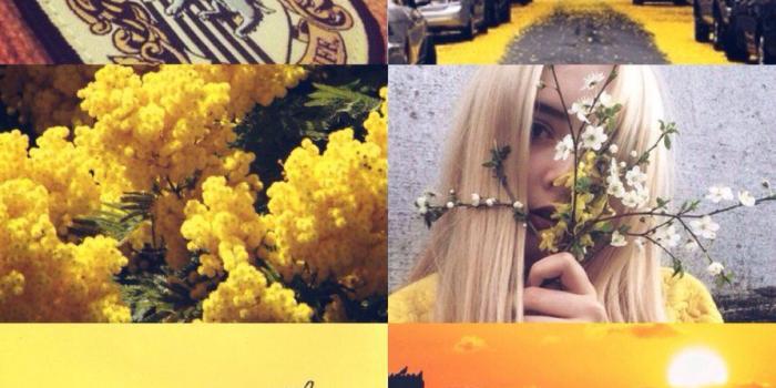 894x894 Hufflepuff Aesthetic Wallpapers - Top Free Hufflepuff Aesthetic