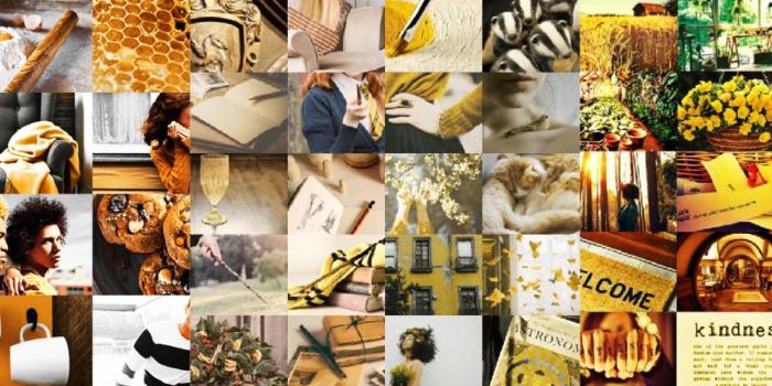 1105x1669 Go hufflepuff!!!! | PUFF Aesthetic in 2019 | Hufflepuff pride, Harry