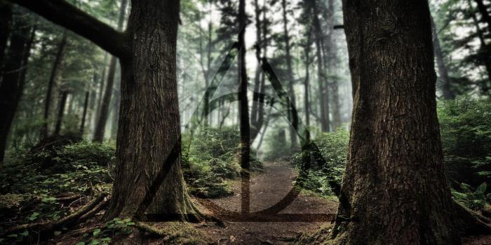 1191x670 Download Harry Potter Wallpaper Pc (65+) - Free Wallpaper For your