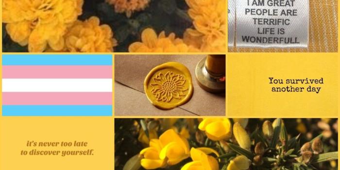 1280x720 hufflepuff desktop background | Tumblr