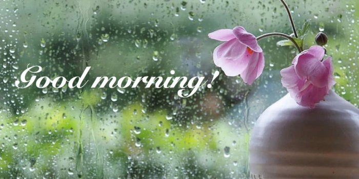 1242x1532 Good Morning greetings | Good morning | Good morning rainy day