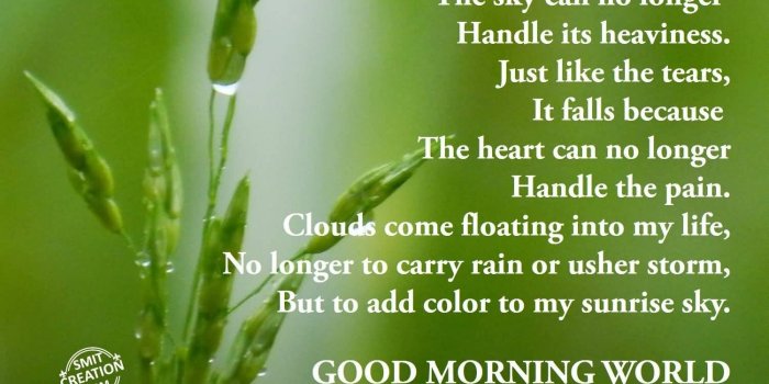 1500x1125 55+ Best Rainy Day Wish Pictures And Photos