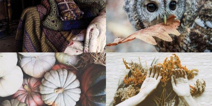 768x1083 Hogwarts Houses as the seasons of the year Hufflepuff as autumn