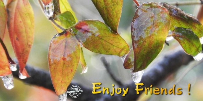 1260x975 Rain Pictures, Images, Graphics - Page 11