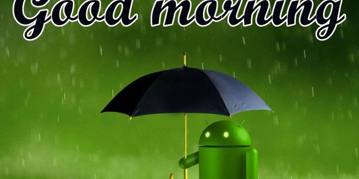 1659x1080 235+ Beautiful 3d Good Morning Images Photo Pics HD For FB