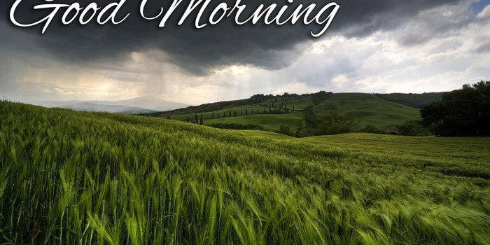 1440x900 Top 100 Have A Nice Day Nature Rainy Good Morning Images - twistequill