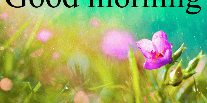 1595x1080 177+ good morning wishes for a rainy day Images Photo Pics HD For Lover